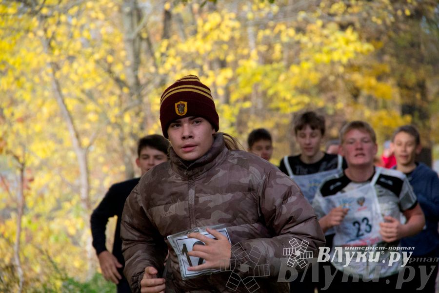 В Великих Луках прошел «Осенний кросс» 