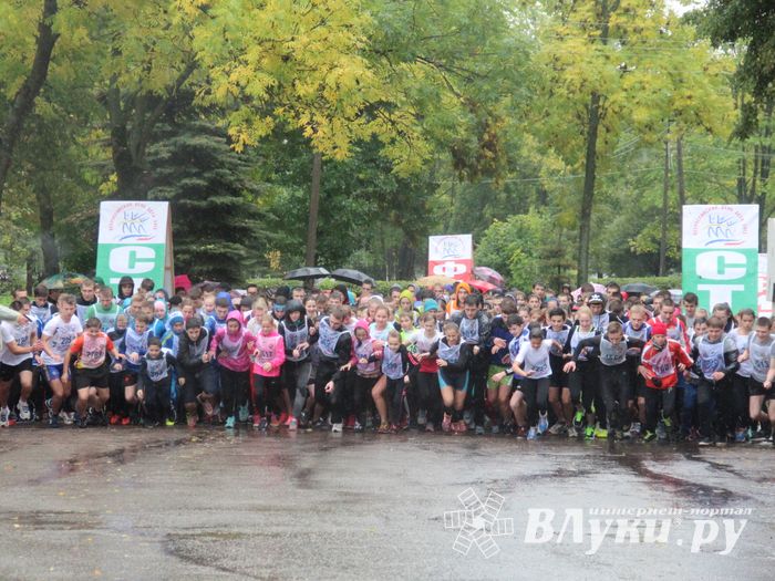 В Великих Луках прошел «Кросс Нации - 2015» (фото)