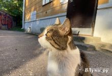 Прогноз погоды на 13 сентября в Великих Луках