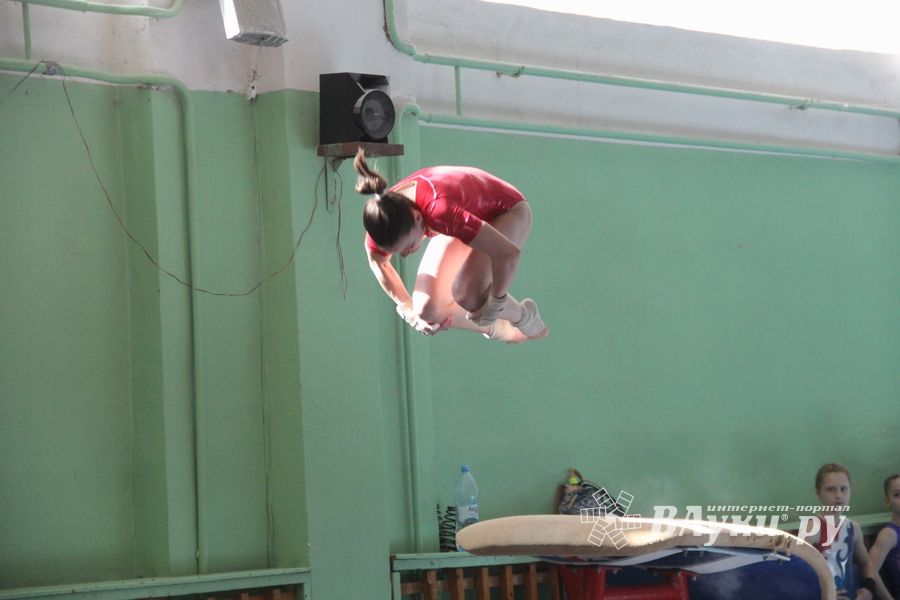 В Великих Луках проходит открытое первенство по спортивной гимнастике (ФОТО)