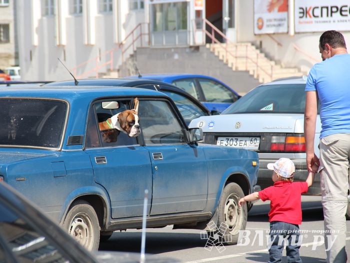 Фотоконкурс "КрасиваЯ!". Вручение призов