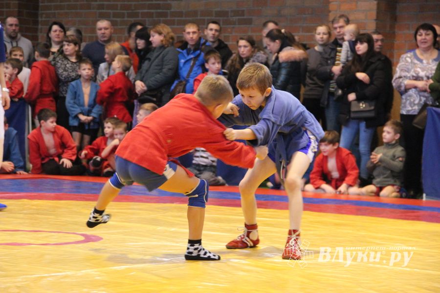 Открытый турнир по самбо «Новогодняя звезда-2019» прошел в Великих Луках (ФОТО)