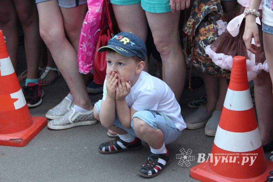 В Великих Луках прошел «День защиты детей» (ФОТО)