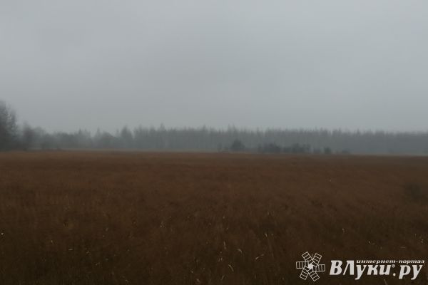 Сегодня великолучанам обещают пасмурный день