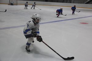Детский турнир по хоккею прошел в Великих Луках (ФОТО)