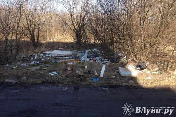 «Великие Луки — большая свалка» (ФОТО)