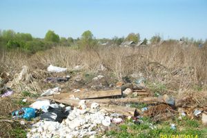 ​Великолучане продолжают жаловаться на свалки (ФОТО)