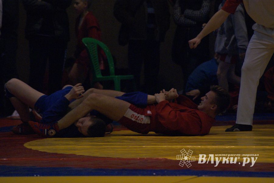 Великолучане завоевали призовые места на турнире по самбо «Память» (ФОТО)