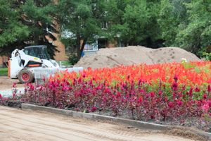 В Великих Луках в сквере Карцева появится детская площадка (ФОТО)