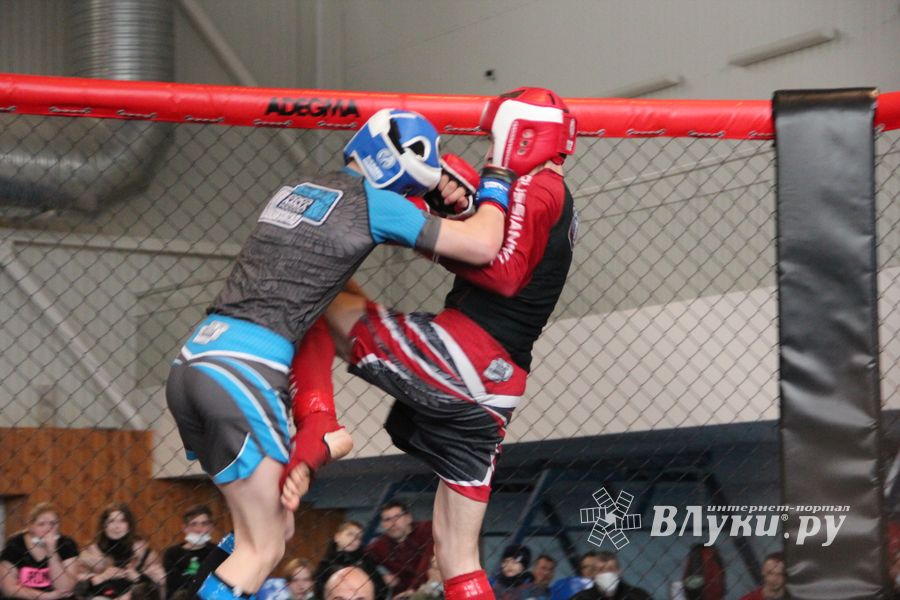 В Великих Луках прошел кубок по смешанному боевому единоборству (ФОТО)