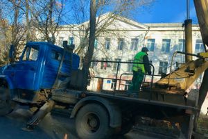 В Великих Луках обрезают тополя (ФОТО)