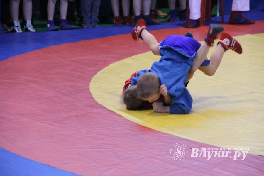В Великих Луках проходит турнир самбистов (ФОТО)