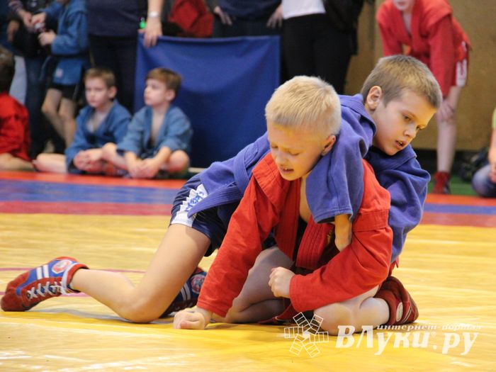 Открытый турнир по самбо «Новогодняя звезда-2019» прошел в Великих Луках (ФОТО)
