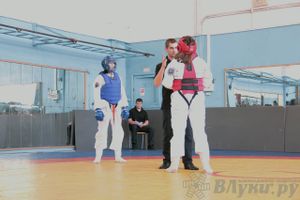 Первый чемпионат и первенство Псковской области по смешанным боевым искусствам «ММА»