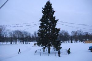 В Великих Луках приступили к демонтажу новогодней ёлки (ФОТО)