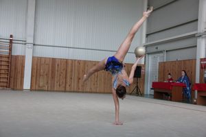 В Великих Луках прошли соревнования по по художественной гимнастике (ФОТО)