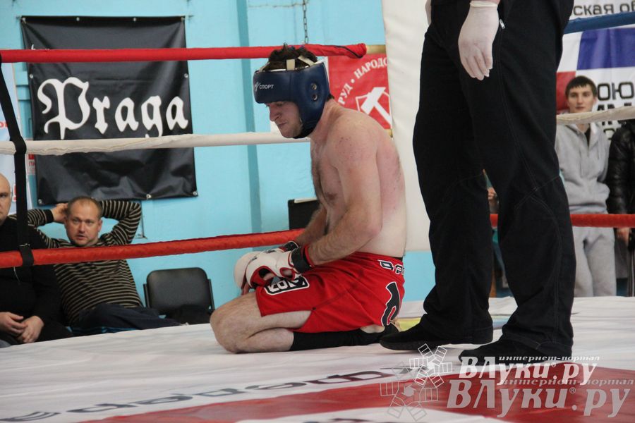 Открытый Кубок города Великие Луки по смешанному боевому единоборству (ММА)