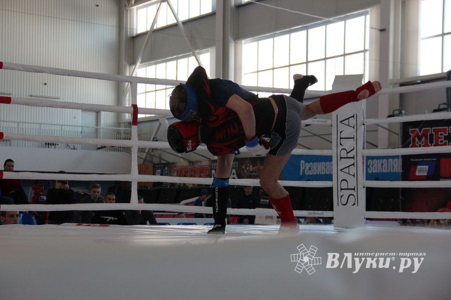 В Великих Луках проходит открытый кубок по смешанному боевому единоборству ММА (ФОТО) (12+)