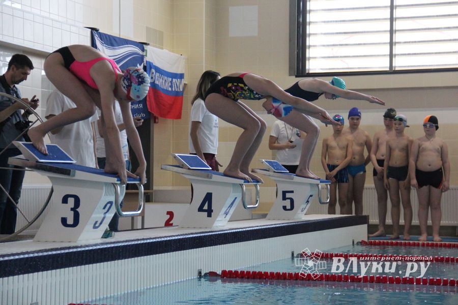 В «Айсберге» прошло Первенство города по плаванию (ФОТО)