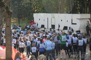 Кросс нации