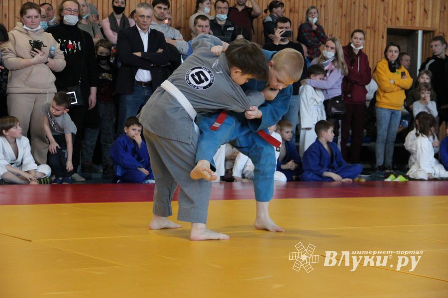 Фестиваль боевых искусств прошел в Великих Луках (ФОТО)