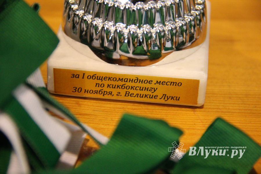 В Великих Луках прошли соревнования по кикбоксингу (ФОТО)