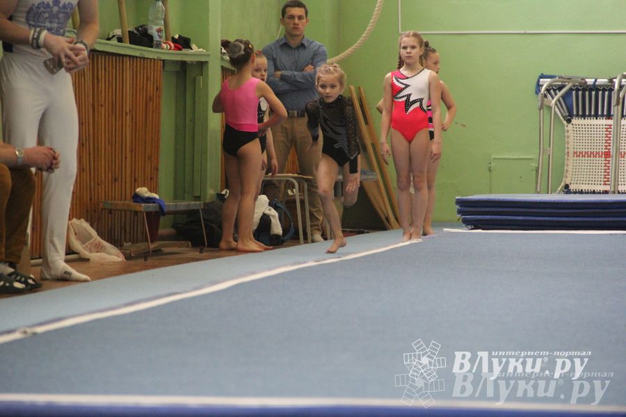 В Великих Луках прошел турнир по спортивной гимнастике (фото)
