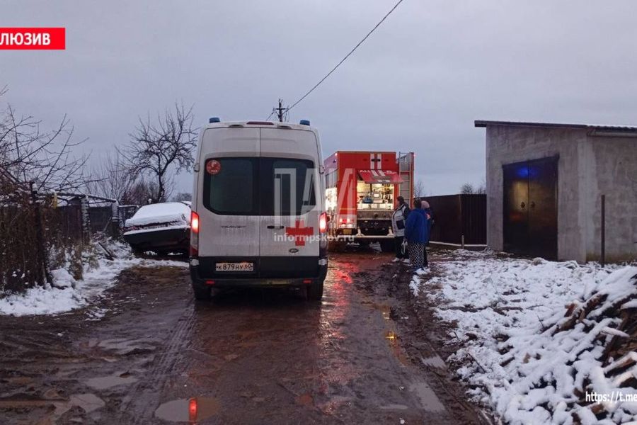 Пожарные ликвидировали возгорание дома в Великолукском районе (ФОТО)