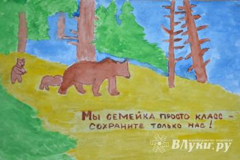 Школы Псковской области провели экологический конкурс рисунков и эссе