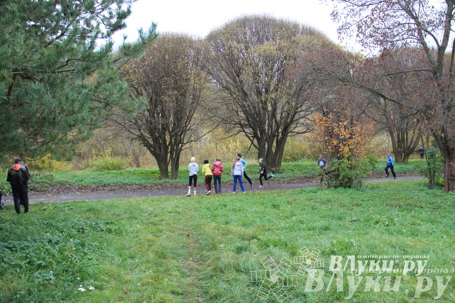 Легкоатлетический осенний кросс прошел в Великих Луках (фото)