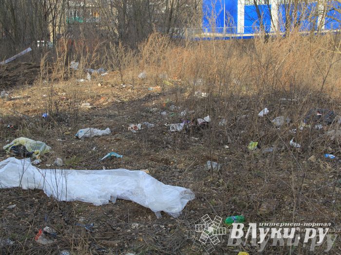 Город в ожидании субботника