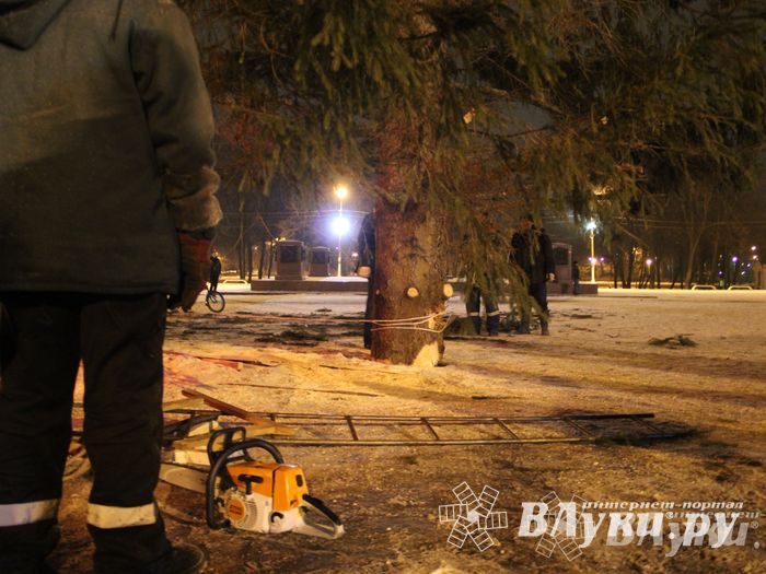 В Великих Луках установили новогоднюю елку (фото)