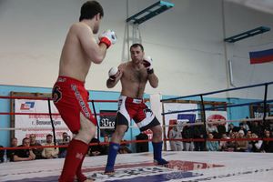 Открытый Кубок города Великие Луки по смешанному боевому единоборству (ММА)