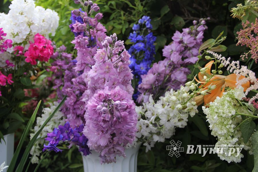 «Парад детских колясок» в День семьи, любви и верности (ФОТО)