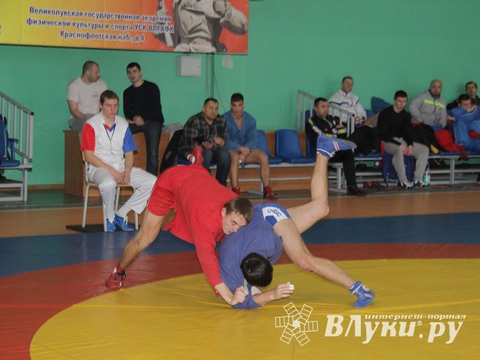 В Великих Луках прошел турнир по самбо, посвященный подвигу Александра Матросова (ФОТО)