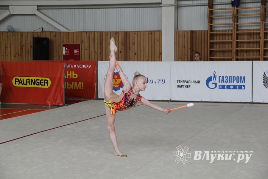 Гимнастика