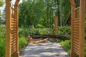 Небезразличные великолучане помогают убрать город после урагана (ФОТО)