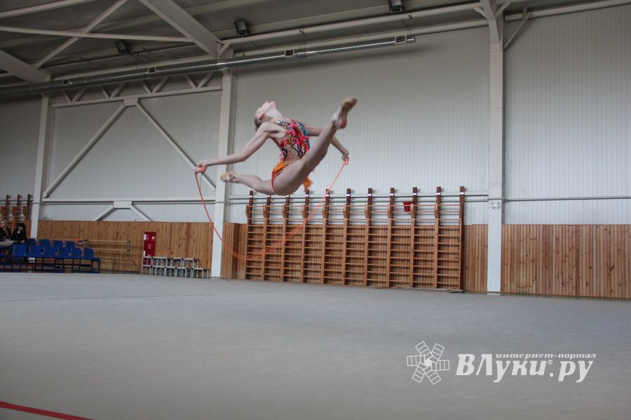 В Великих Луках прошли соревнования по по художественной гимнастике (ФОТО)