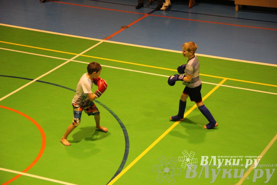 В Великих Луках прошел мастер-класс по кикбоксингу (фото)