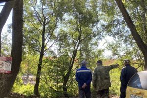 Будущий госпиталь «обзавелся» стенами (ФОТО)