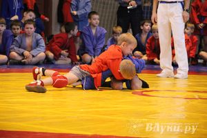 Великолучане стали первыми в общекомандном зачете турнира по самбо «Память»