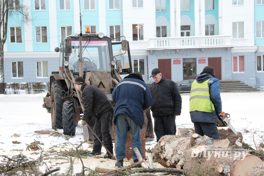 Главная городская ёлка отправилась на свалку (ФОТО)
