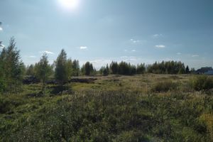 Будет ли здесь «город-сад» (ФОТО)