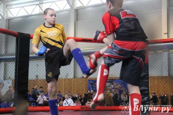 В Великих Луках прошли Чемпионат и Первенство Псковской области по ММА (ФОТО)
