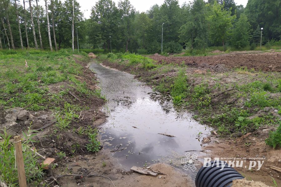 В парке «Петровском» появляются пешеходные дорожки (ФОТО)