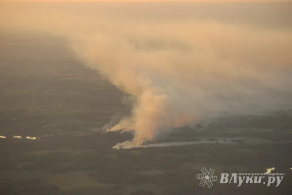 В Псковской области ожидается высокая пожарная опасность