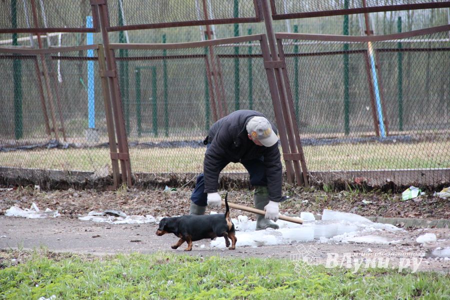 На острове Дятлинка проходит субботник