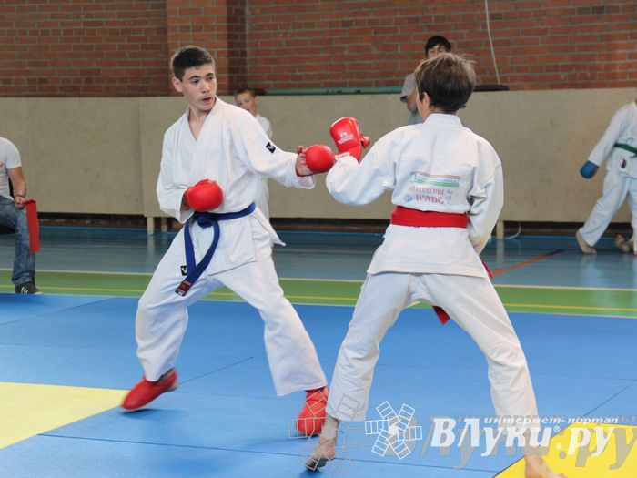 Турнир по каратэ «Неприкосновенный запас — дети Отчизны»