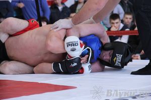 Открытый Кубок города Великие Луки по смешанному боевому единоборству (ММА)