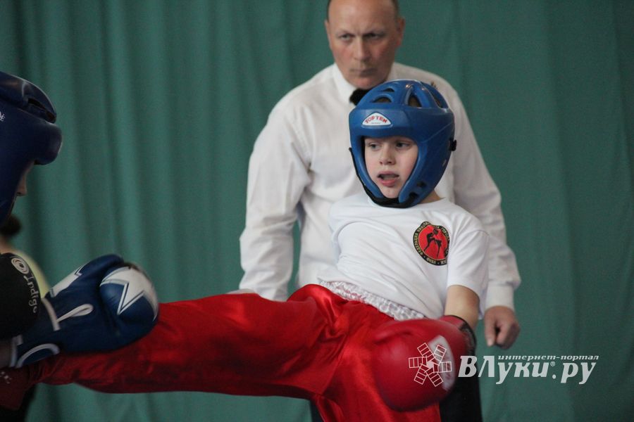 В Великих Луках проходит Кубок по кикбоксингу (ФОТО) (0+)